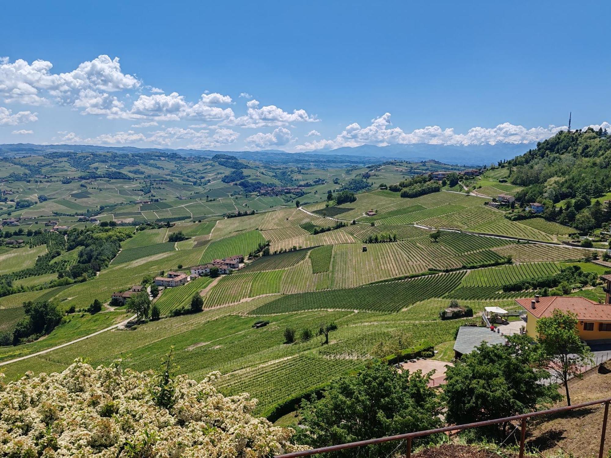 라모라 Tour In Langhe 아파트 외부 사진