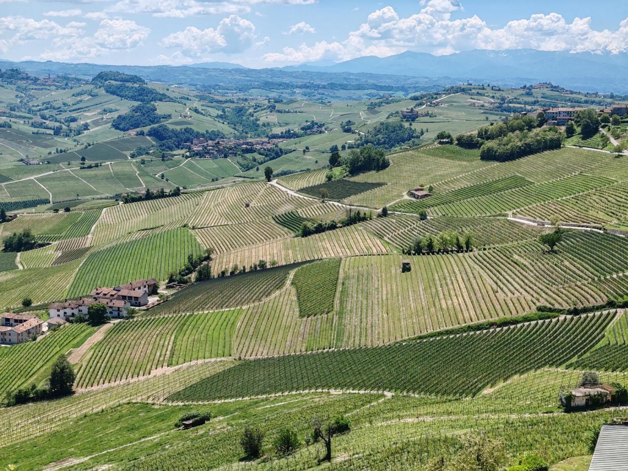 라모라 Tour In Langhe 아파트 외부 사진